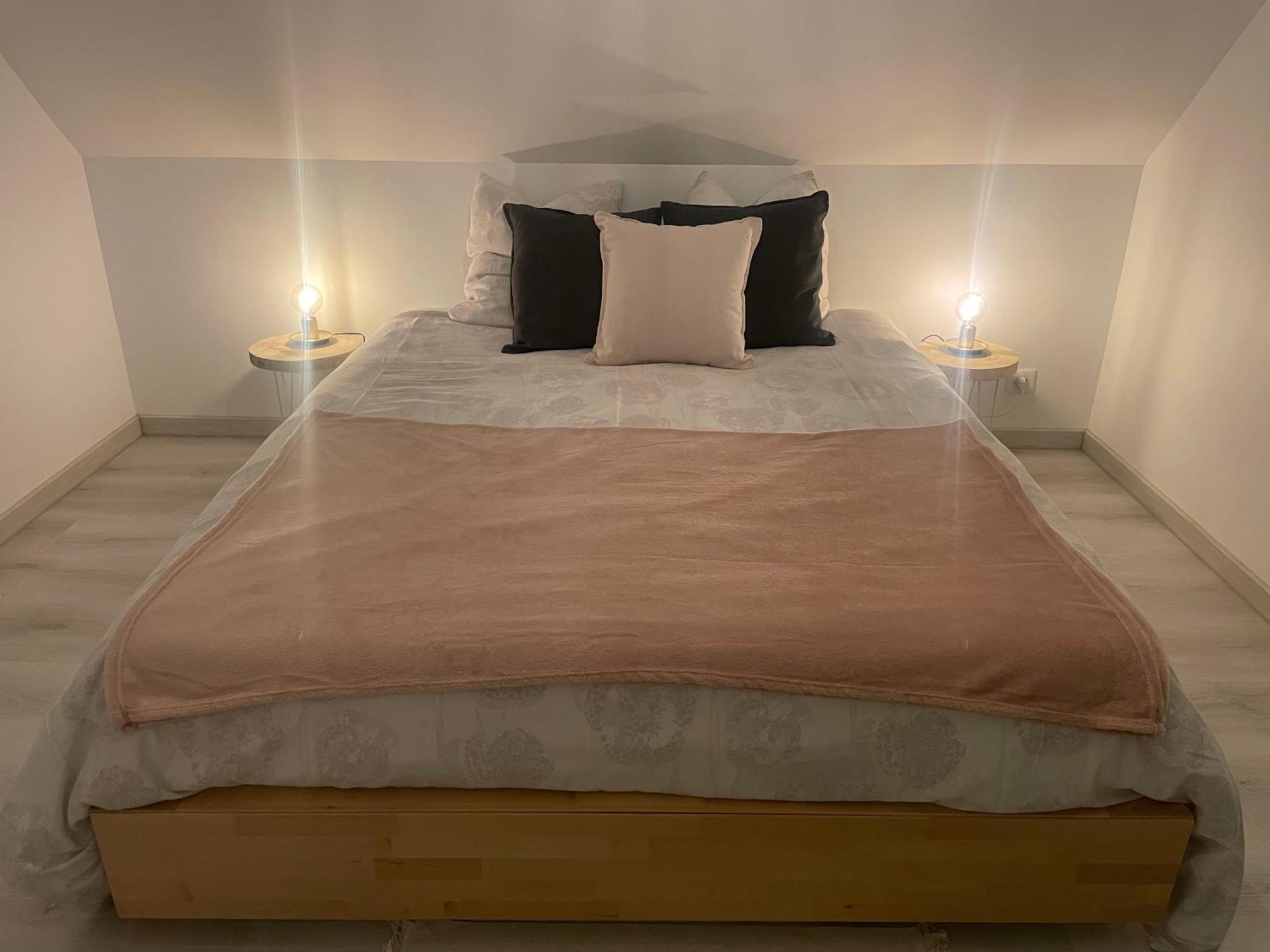 Le De L Ill Proche Strasbourg Holiday home *